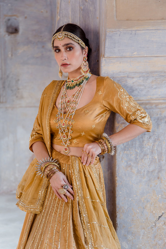 Buy Bhumi Pednekar Dark Brown Lehenga Choli Online - LEHA2121 | Appelle  Fashion